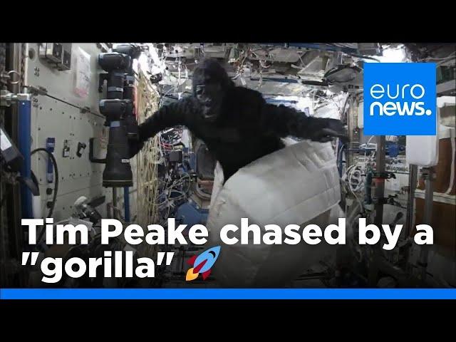 Tim Peake chased through ISS by a "gorilla" | euronews 