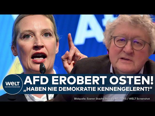 BUNDESTAGSWAHL: AfD erobert Ost-Deutschland! CDU verliert! Woran liegt das? I WELT Analyse