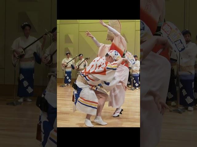 飛鳥連のスロー  春風阿波踊り（2024.4.14） #Shorts #阿波踊り #ダンス #阿波踊り動画第一人者 #祭り #阿波舞 #dance