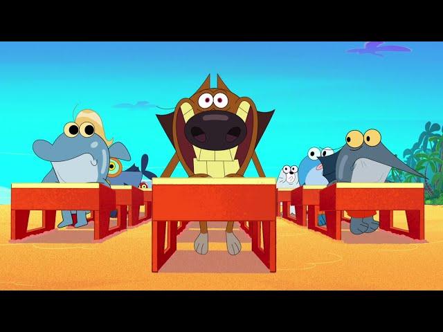 Zig & Sharko | Zig, the class champ! (SEASON 2) BEST CARTOON COLLECTION | New Episodes in HD