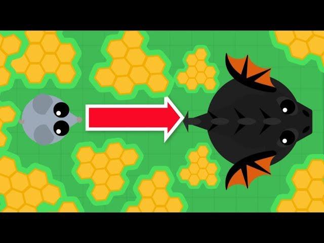 Mope.io // MOUSE TO BLACK DRAGON WITH HONEYCOMBS FOOD // Mope.io Beta run