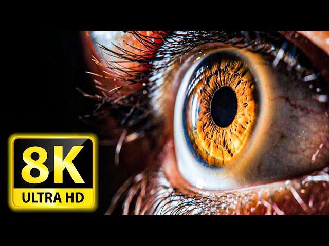 Everyday Objects in Macro in 8K ULTRA HD / 8K TV (60FPS)