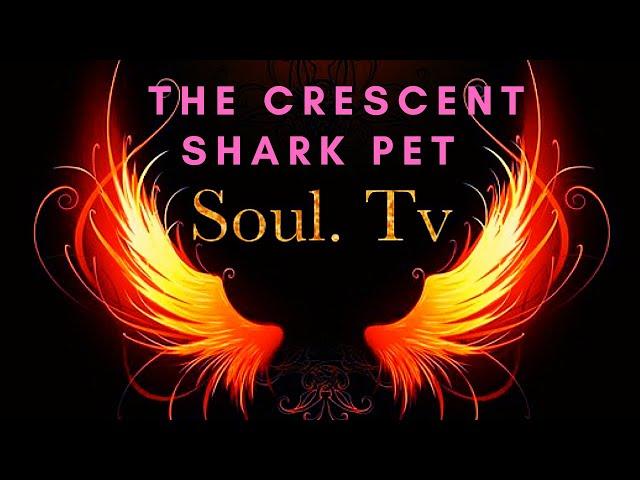 Outward: How to get the Crescent Shark Pet Tutorial / Strategy