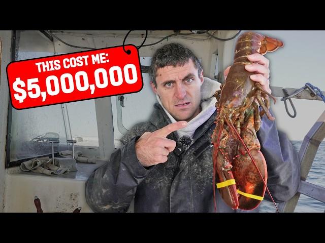 Why this Lobster costs $5,000,000