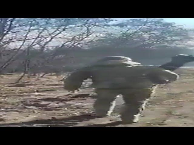 WIDE UKRAINIAN NLAW TROOPER WALK