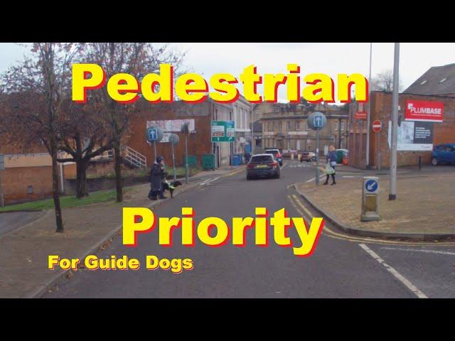 Pedestrian Priority. How to deal with a Guide Dog