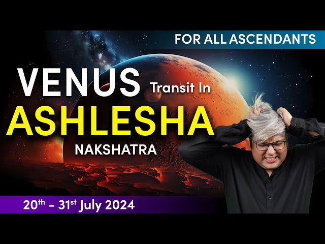 For All Ascendants | Venus transit in Ashlesha Nakshatra | 20th - 31st July 2024 | Punneit