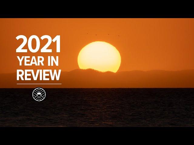 2021 Year in Review | blinsaff