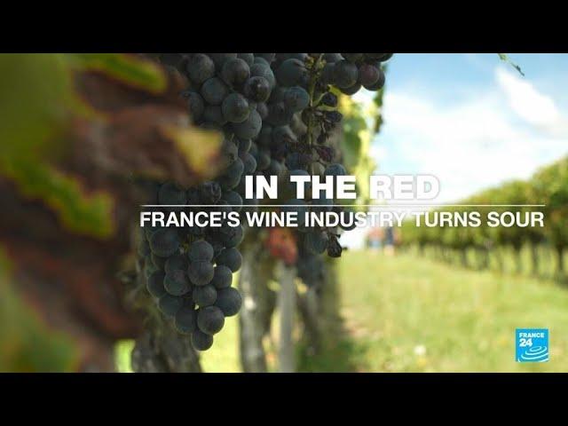 In the red: France's wine industry turns sour • FRANCE 24 English