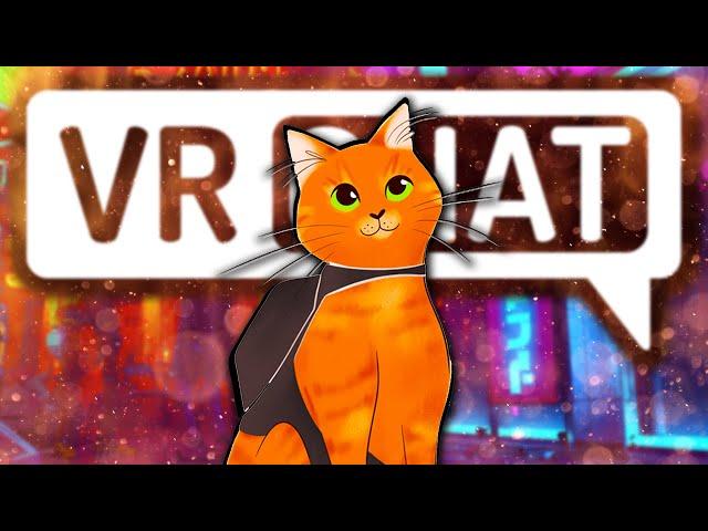 Stray in VRChat - VRChat Highlights