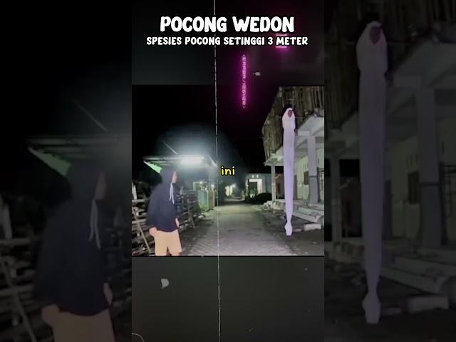 PENAMPAKAN POCONG WEDON SETINGGI 3 METER 