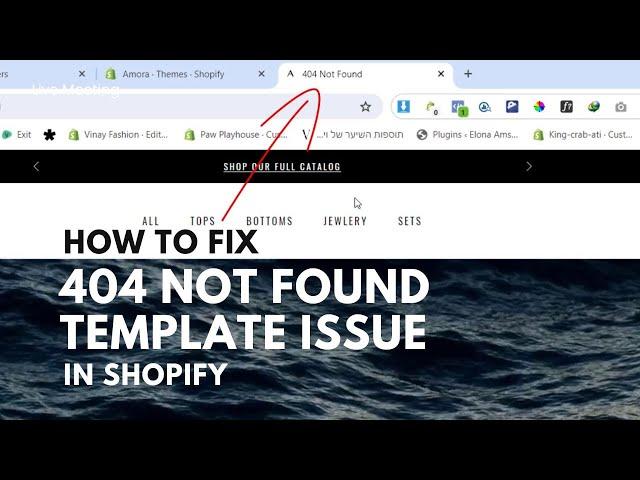 How To Fix 404 Error in Shopify Home Page