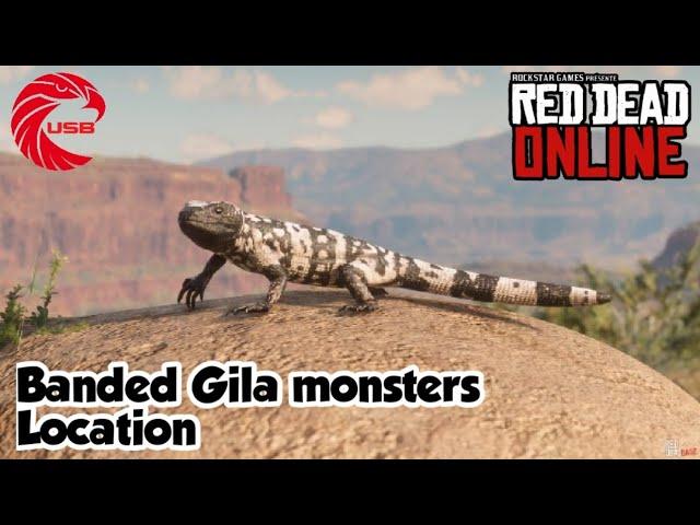 Banded Gila Monsters Locations rdr2 Online - Red Dead Online Banded Gila Monsters Location Guide