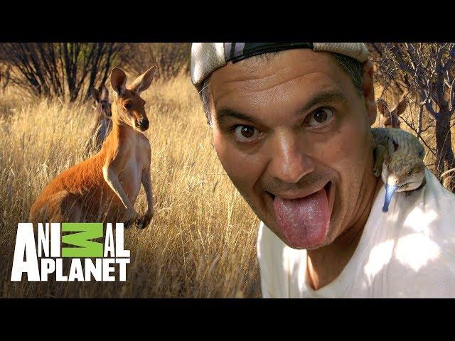 Los momentos más graciosos de Frank | Wild Frank:Tras la evolución de las especies | Animal Planet