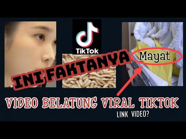 VIDEO BELATUNG VIRAL TIKTOK  ! CEWE NYA MAY4T?  INI FAKTANYA  #belatungviral