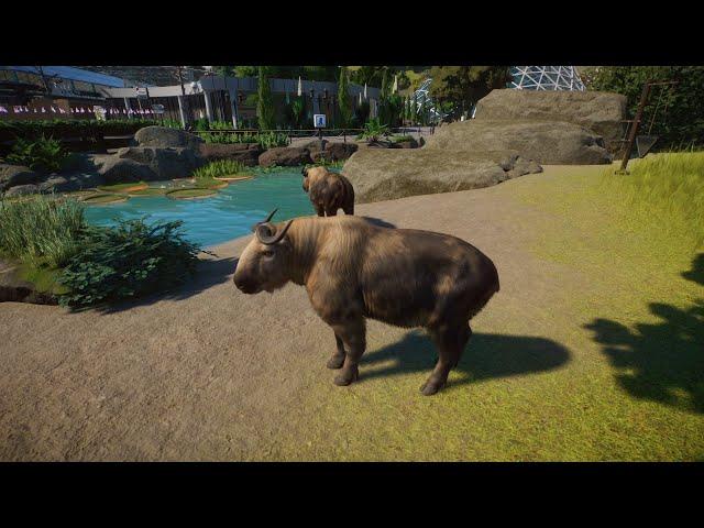 Planet Zoo (PC)(English) #167 6 Minutes of Takin (Eurasia DLC)