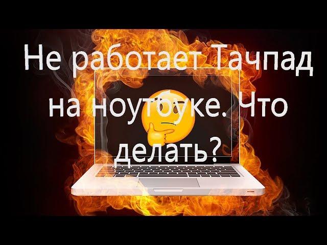 Не работает Тачпад на ноутбуке? 5 способов решения TouchPad