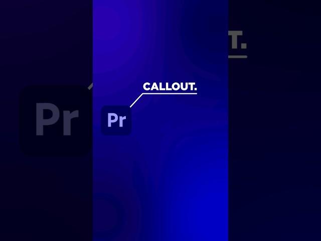 Adobe Premiere Pro Callout.