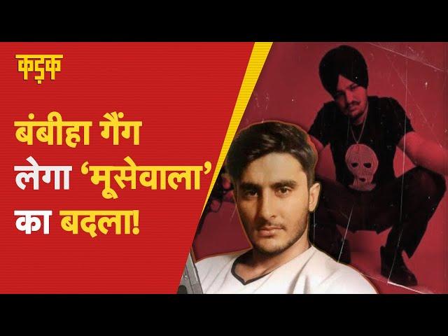 कौन है  Bambiha Gang जिसके पास हैं 300 से ज्यादा शूटर्स? | Sidhu Moose Wala | Davinder Bambiha