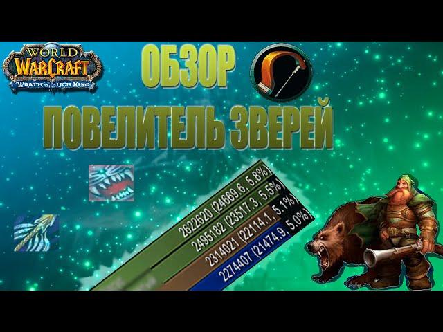 ОБЗОР/гайд на бм ханта пве 3.3.5 | Beast mastery hunter guide 3.3.5a PvE