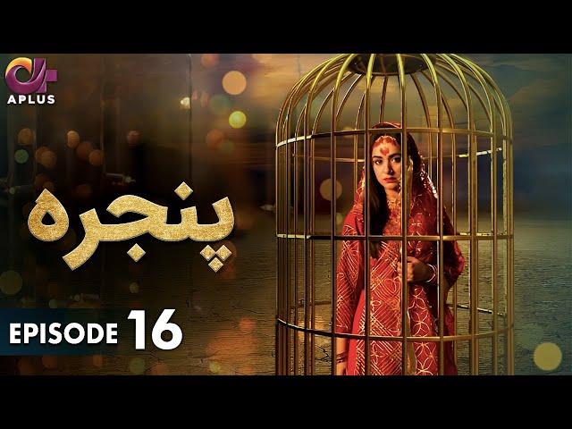 Pakistani Drama | Pinjra - Episode 16 | Aplus Gold | Yumna Zaidi, Nauman Aijaz | CZ1O