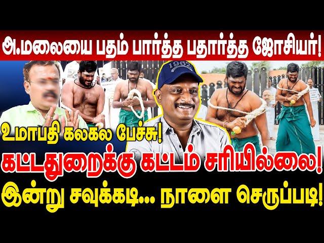 அண்ணாமலையை பதம் பார்த்த பதார்த்த ஜோசியர் Umapathy interview annamalai sattai adi annamalai troll