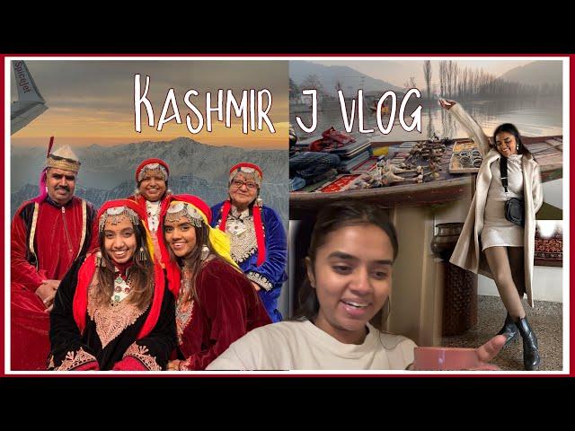 Our trip went wrong to Kashmir | J vlog ️