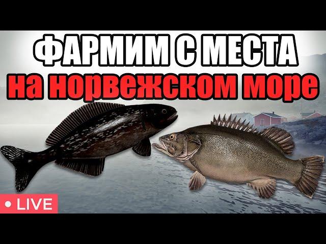 РР4 СТРИМ • ФАРМИМ СЕРЕБРО НА НОРВЕЖСКОМ МОРЕ • РОЗЫГРЫШИ • РУССКАЯ РЫБАЛКА 4