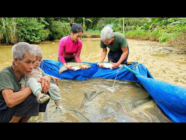 Harvesting fish for sale - Cooking