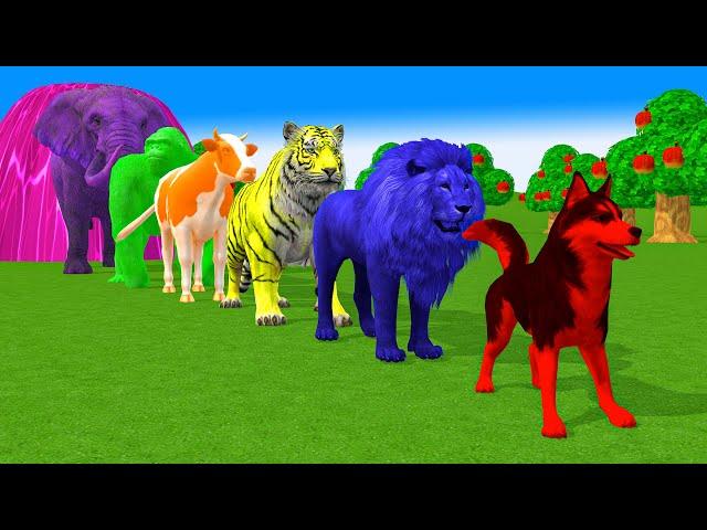 Paint Animals Gorilla Cow Duck Lion Dog Elephant Tiger Fountain Crossing Cartoon Animal Game