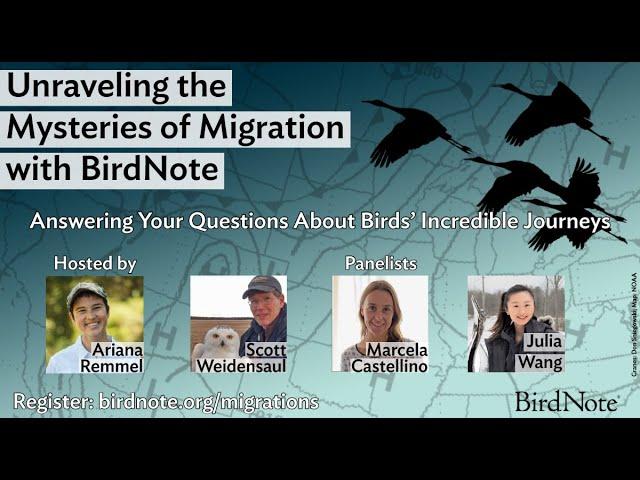 Unraveling the Mysteries of Migration with BirdNote