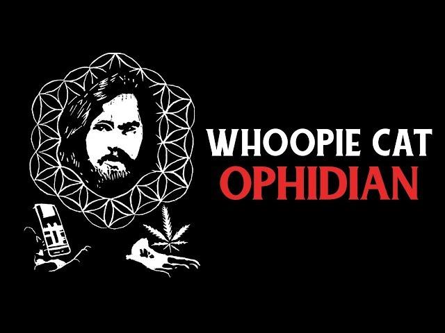 Whoopie Cat - Ophidian