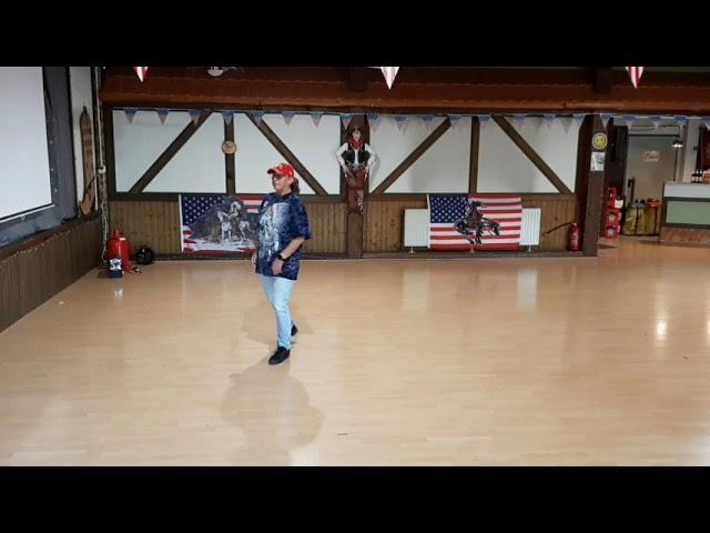 Austin (als 4 wall)  Lernvideo Teach & Dance Line Dance Biene Teil 1