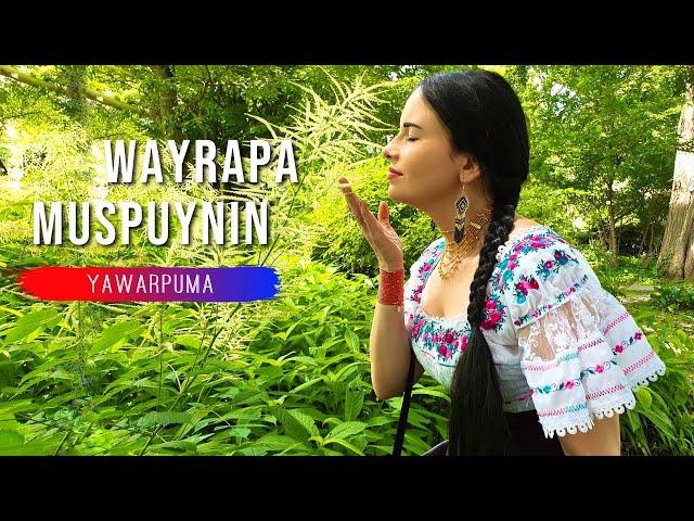 WAYRAPA MUSPUYNIN - Alborada | Yawarpuma | Native Song | Cherokee Flute | Relaxing Music