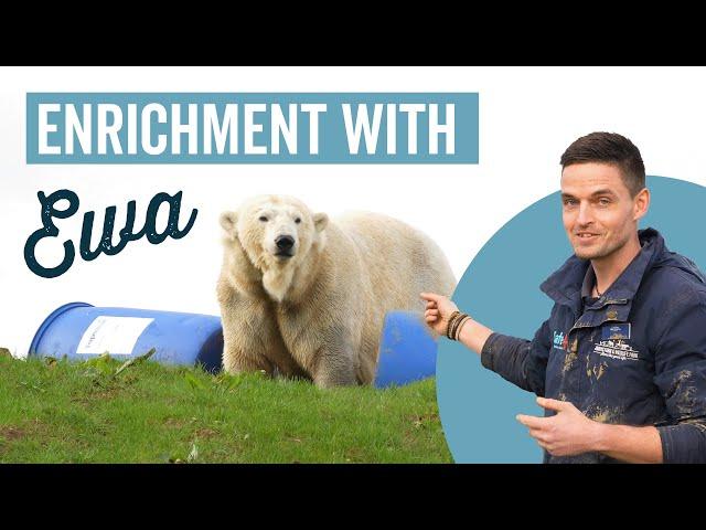 Enrichment with Ewa the Polar Bear - Jimmy's Farm