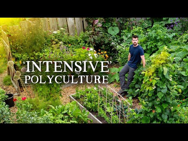 This Small-Scale Permaculture Garden is PACKED With Food