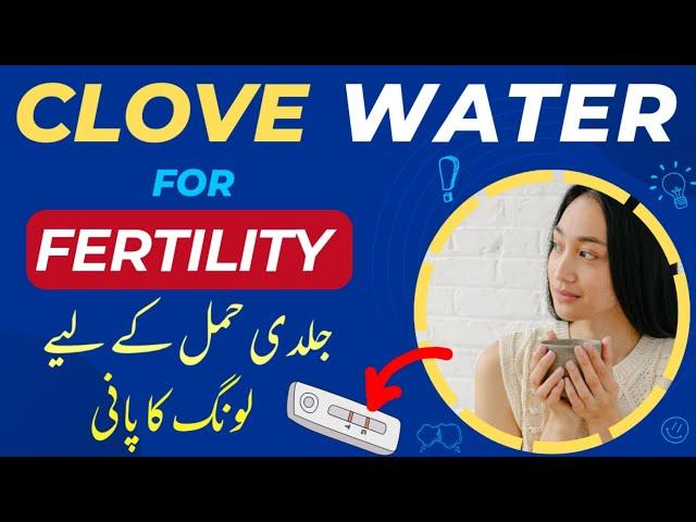 Clove Water For Pregnancy in Urdu | Ovulation Booster |How To Get Pregnant Quickly |Fertility Tips