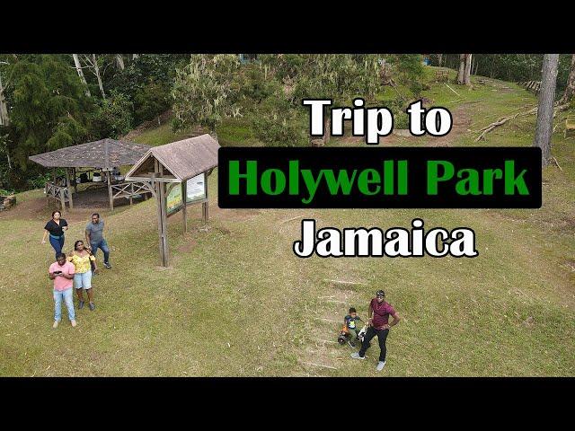 Our Trip to Holywell Park Jamaica #Jamaica #ChriSamz