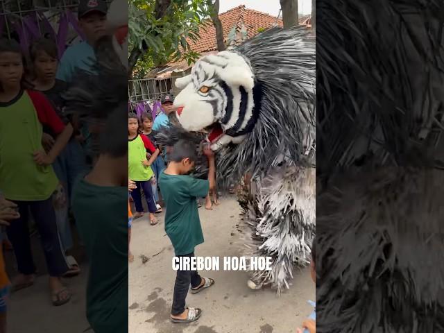 Can macanan Makan Bocil Baju Hijau Sampe Habis ️