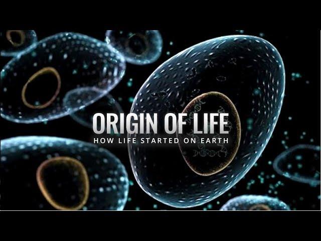 Origin of Life: A Lecture by Dr. Bruce Damer