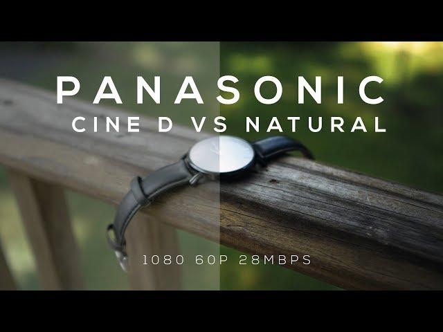 Cinelike D Vs. Natural || Non-Scientific Sigma 30mm F1.4 G85 Picture Profile Test Footage