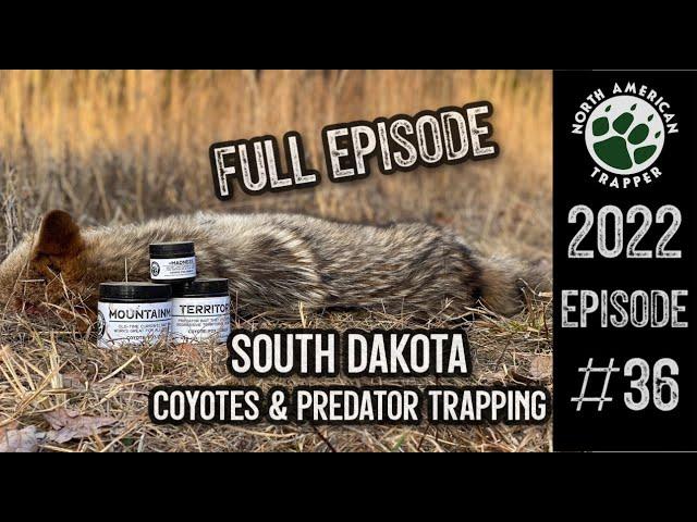 2022 Episode #36 ~ South Dakota Coyotes and Predator Trapping