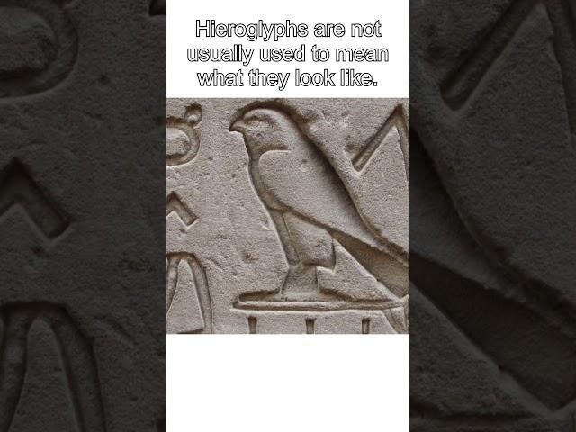 How Did Egyptian Hieroglyphs Work? #shorts