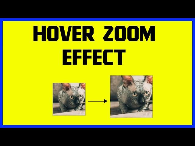 hover zoom state adobe xd || uiux design