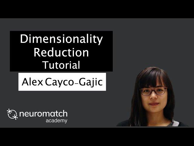 Dimensionality Reduction Tutorial 2 Video 1