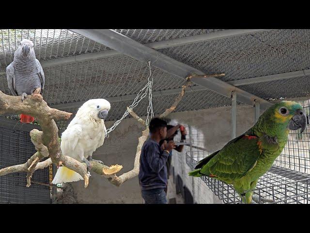 Suitable Feeding Place For Birds In The Large Outdoor Parrot Aviary.