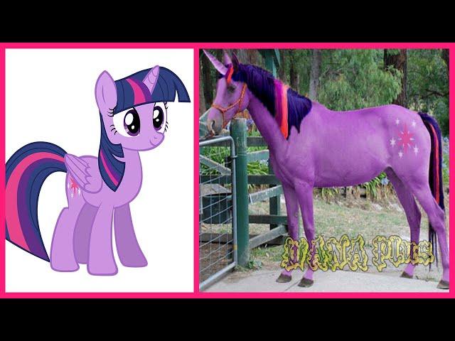 My Little Pony All Characters IN REAL LIFE @WANAPlus