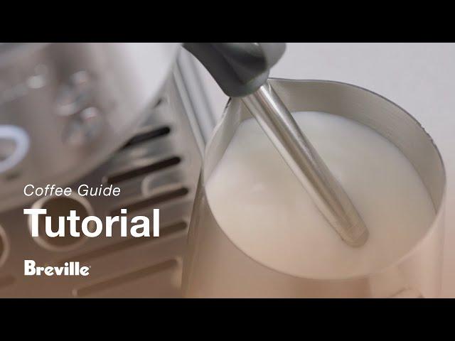 The Bambino® | How to texture milk using your espresso machine | Breville USA