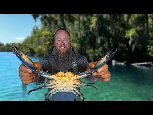 Blue Crabbing in Forgotten Florida | Silver Glen Springs {Catch, Clean, Cook}