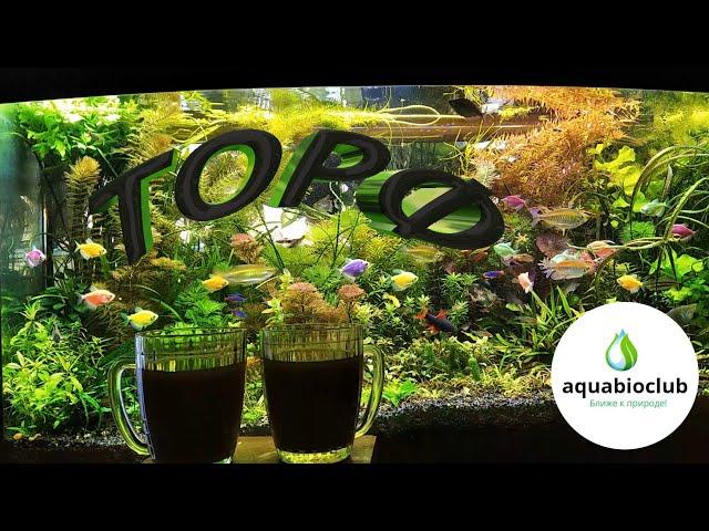 #Peat, the best #phytotherapy for #aquarium.